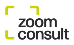 Logo zoom consult